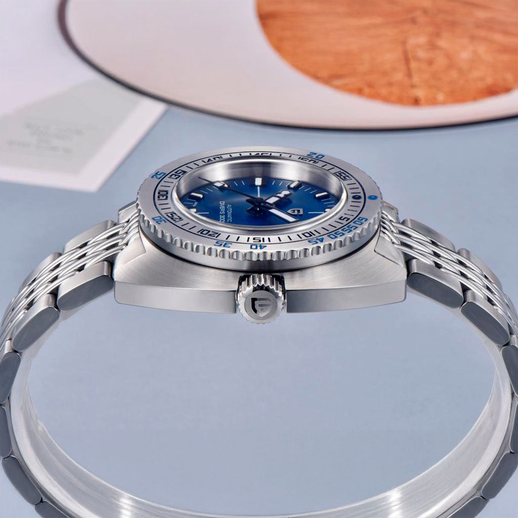 Diseño Turtle azul
