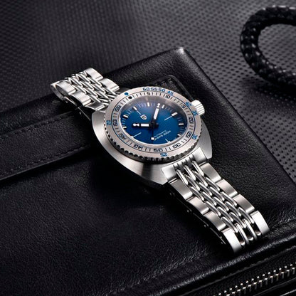 Design Turtle Blue