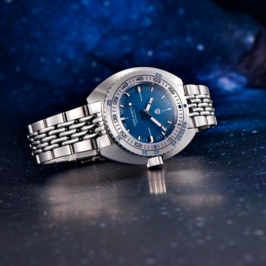 Design Turtle Blue