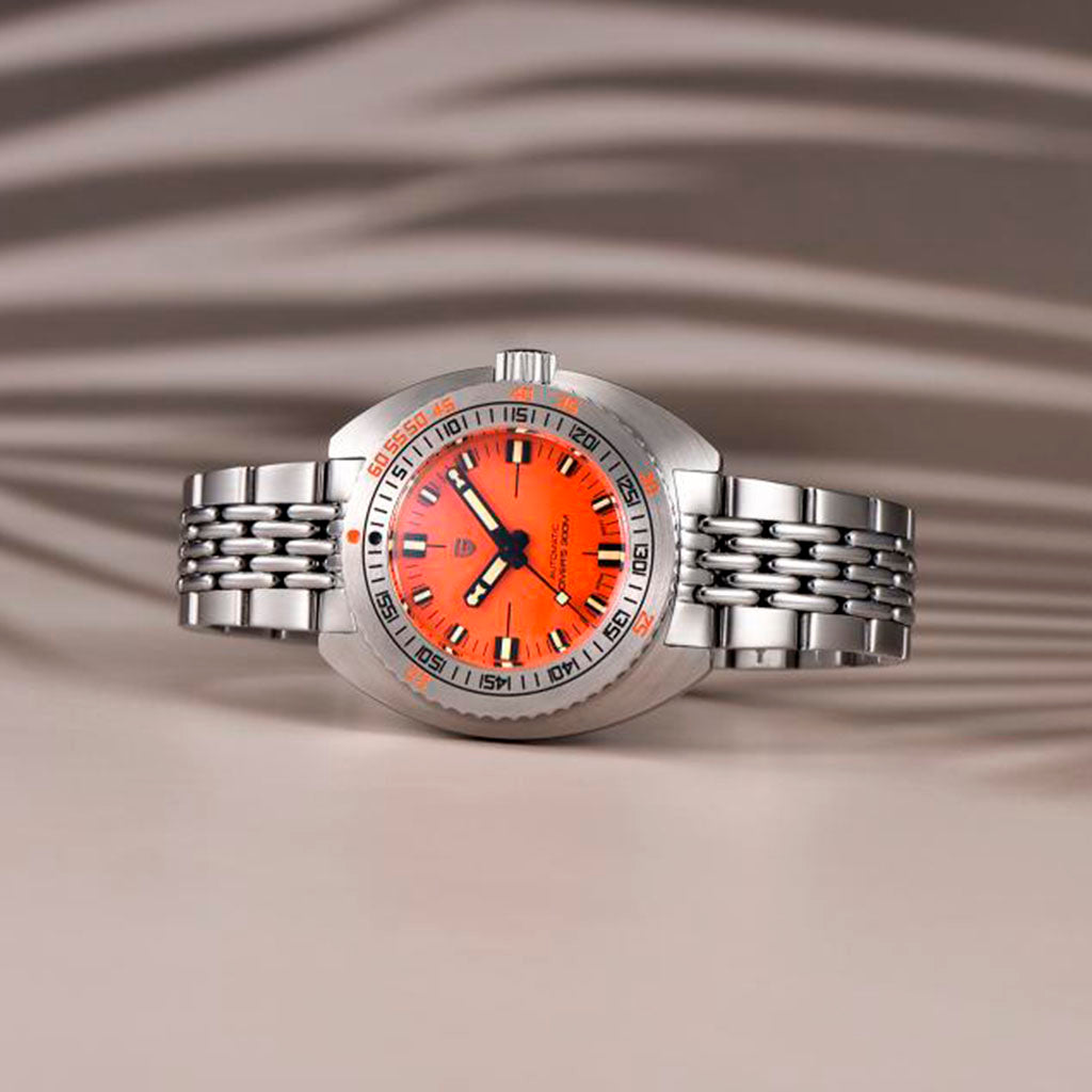 Design Turtle Orange