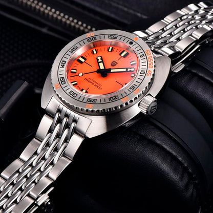 Design Turtle Orange