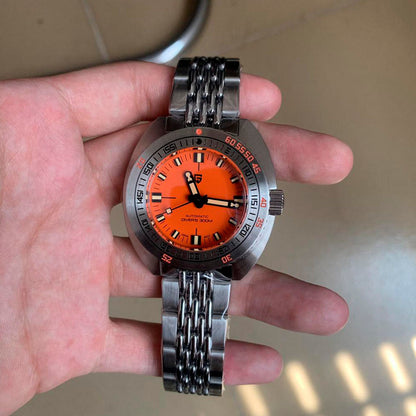 Design Turtle Orange
